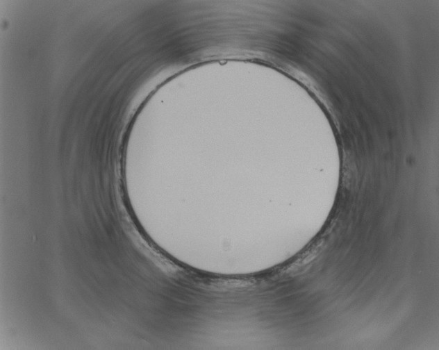 X0000067391187200604281834