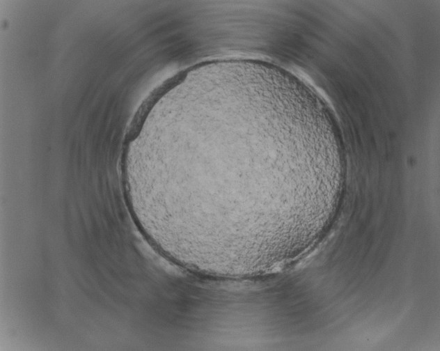 X0000067391189200604281834