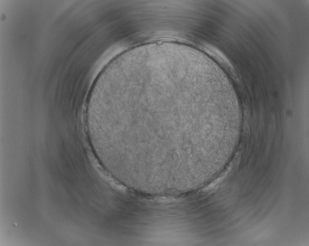 X0000067391190200604281834