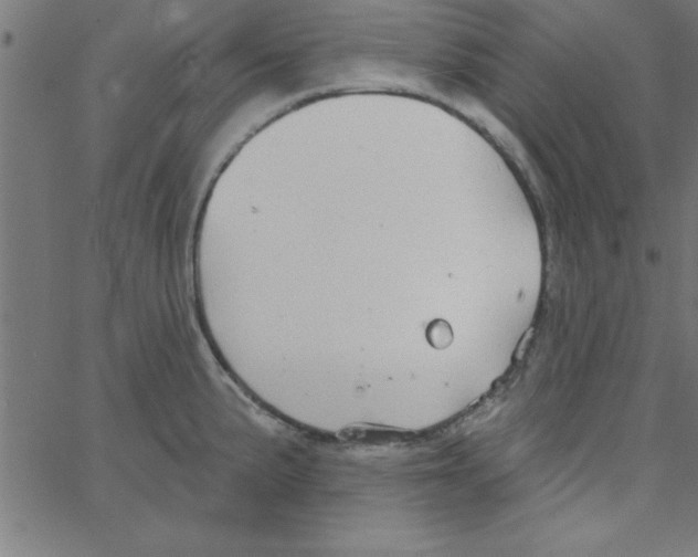 X0000067391191200604281834