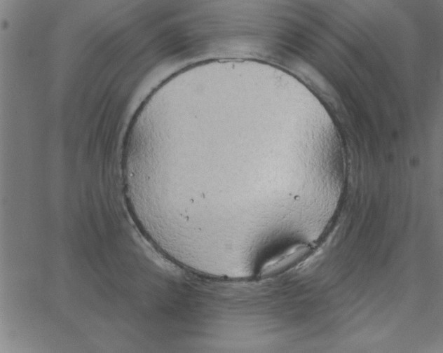 X0000067391192200604281834