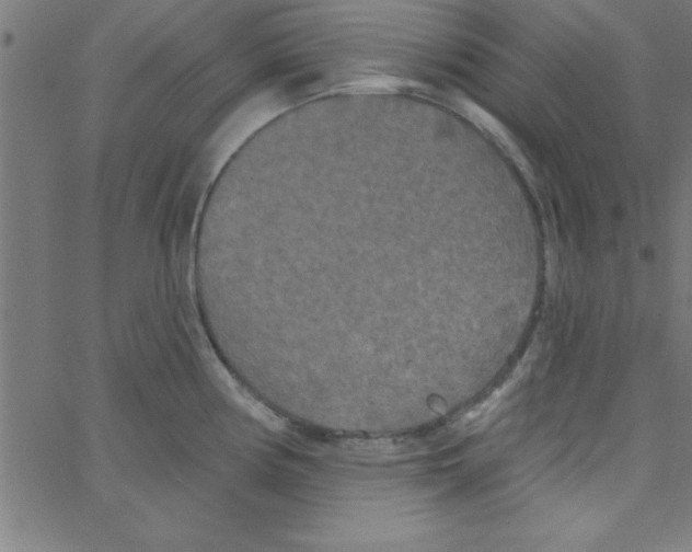 X0000067391194200604281834