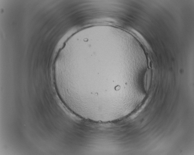 X0000067391196200604281834