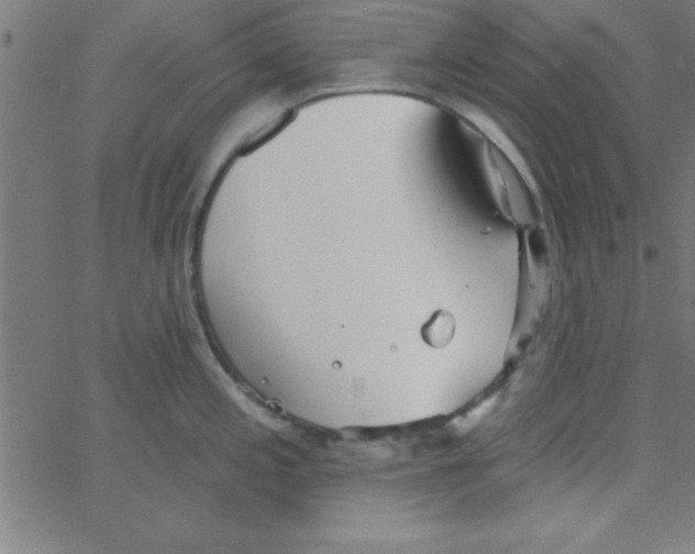 X0000067391197200604281834