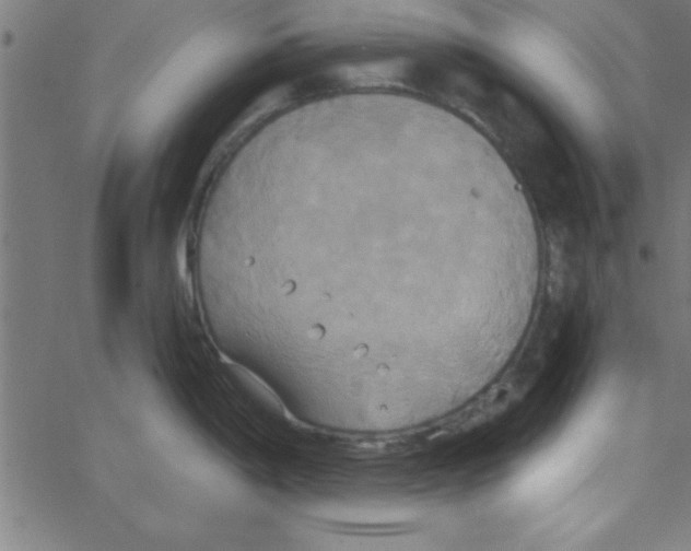 X0000067391198200604281834