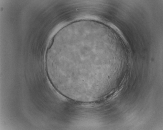 X0000067391199200604281834