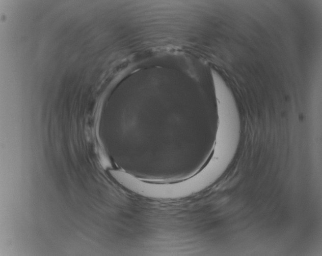 X0000067391202200604281833