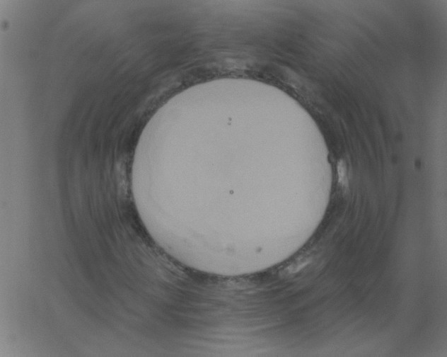 X0000067391203200604281833