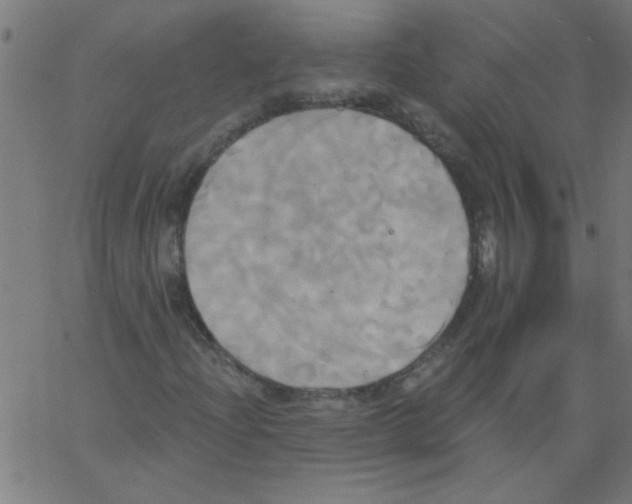 X0000067391204200604281833