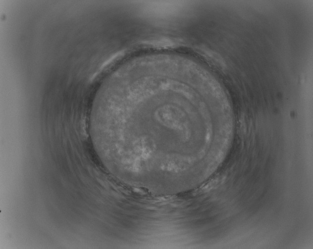 X0000067391205200604281833