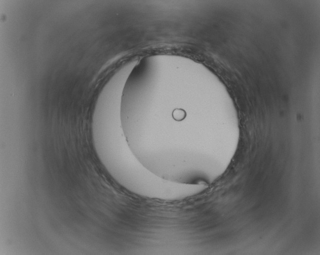 X0000067391206200604281833