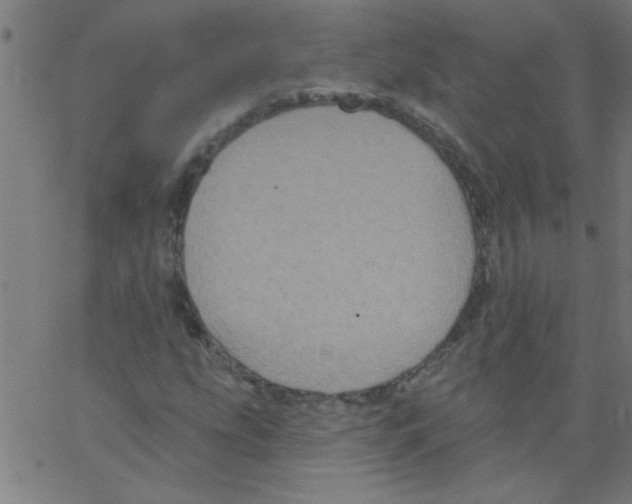 X0000067391207200604281833