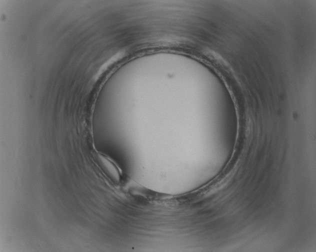 X0000067391210200604281833