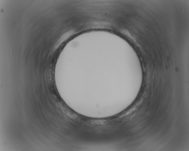 X0000067391211200604281833