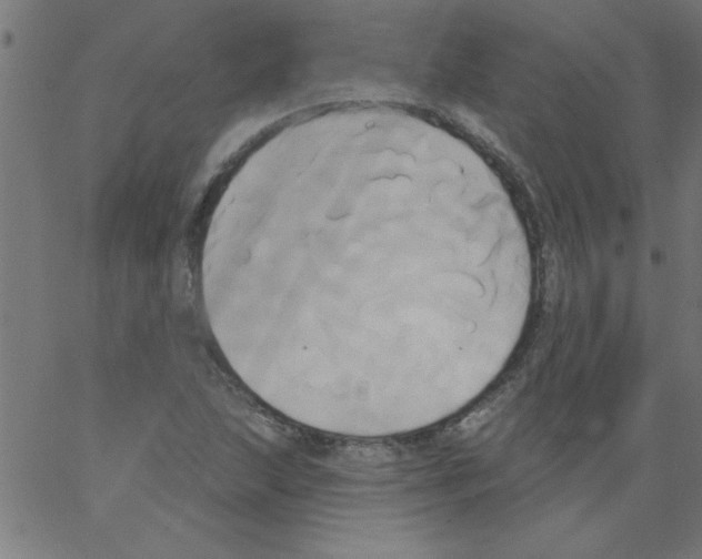 X0000067391215200604281834