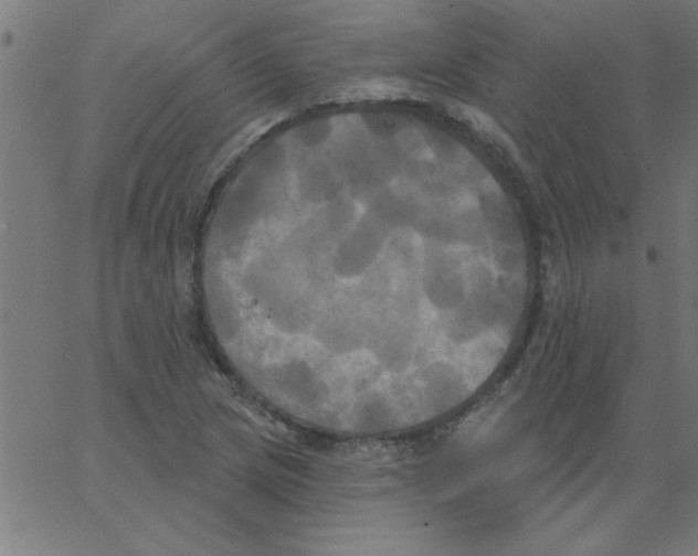 X0000067391217200604281834