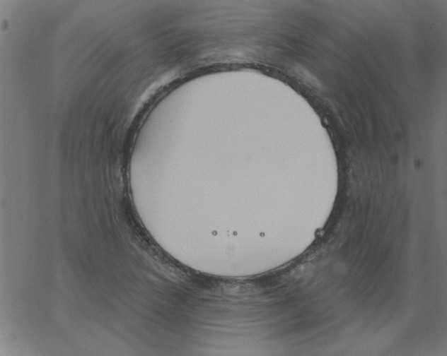 X0000067391218200604281834