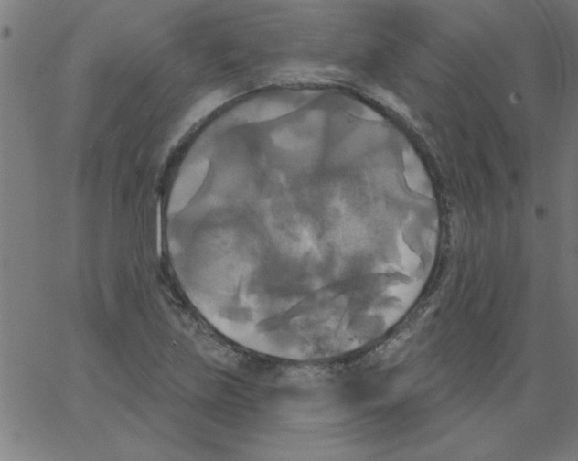 X0000067391219200604281834