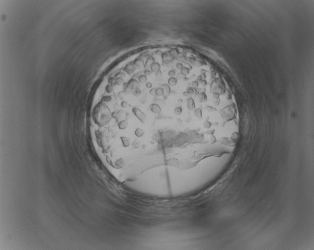 X0000067391220200604281834