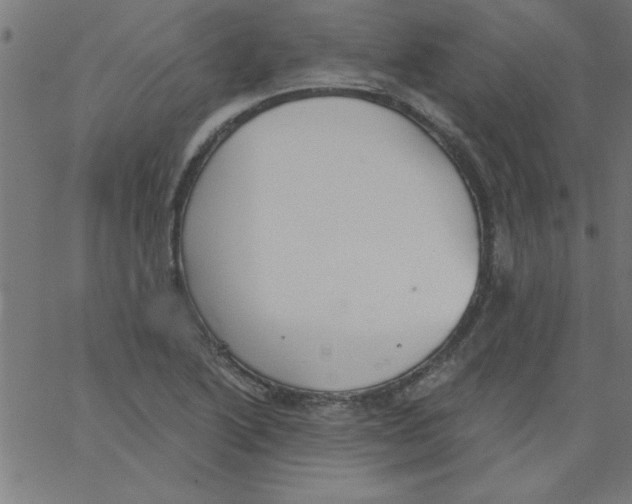 X0000067391222200604281834