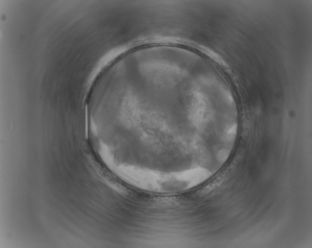 X0000067391223200604281834