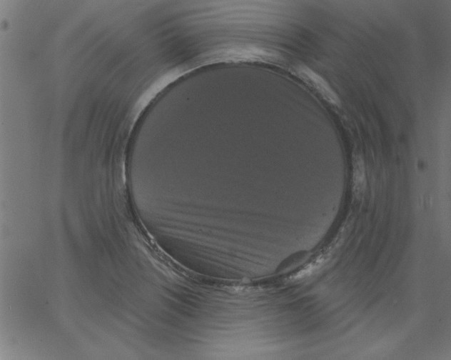 X0000067391226200604281834