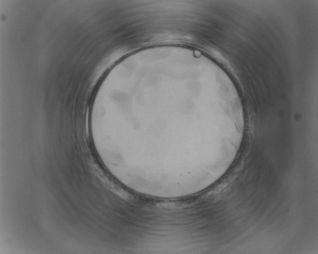 X0000067391227200604281834