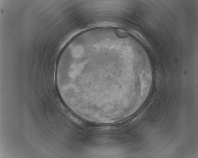 X0000067391228200604281834