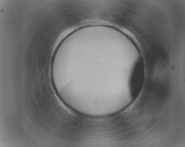 X0000067391231200604281834