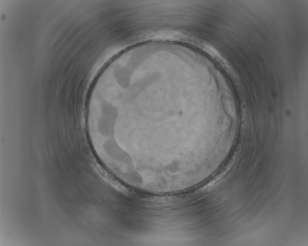 X0000067391232200604281834