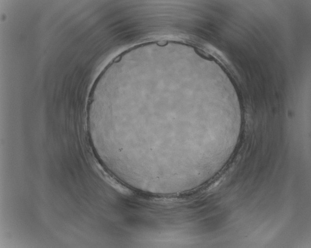 X0000067391236200604281834