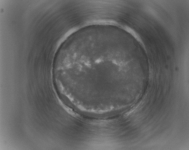 X0000067391237200604281834