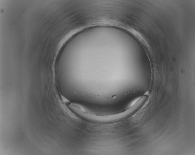 X0000067391238200604281834