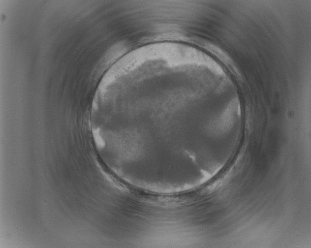 X0000067391241200604281834