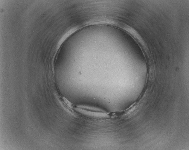 X0000067391242200604281834