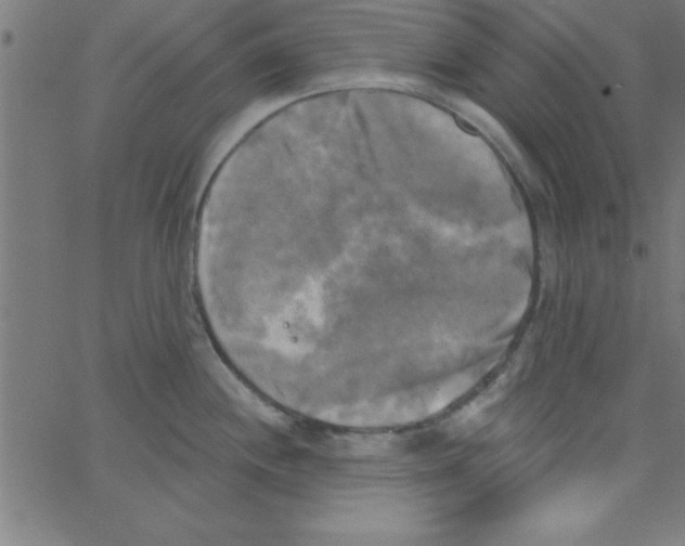 X0000067391244200604281834