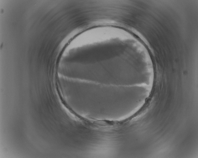 X0000067391245200604281834