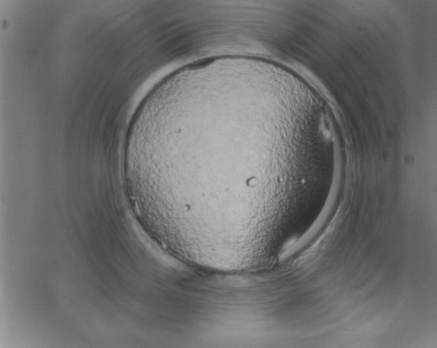 X0000067391246200604281834