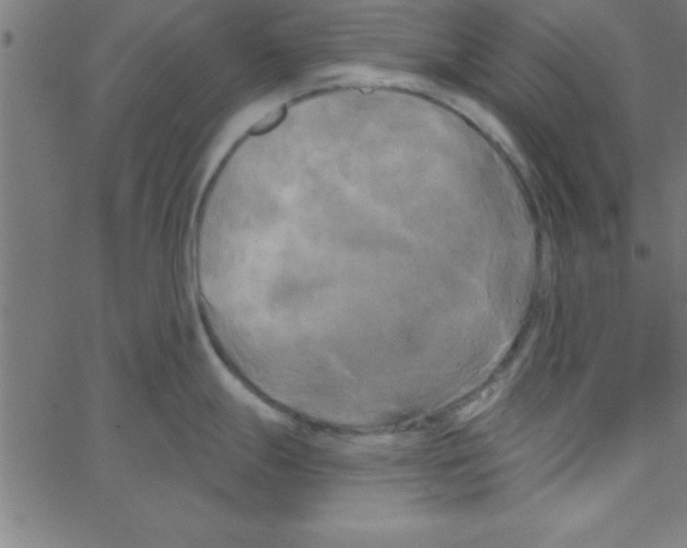 X0000067391247200604281834