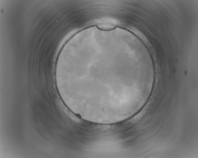 X0000067391248200604281834