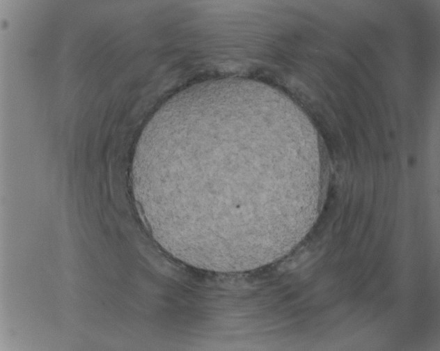 X0000067391249200604281833