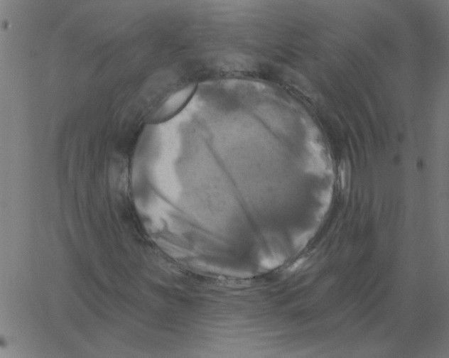 X0000067391251200604281833