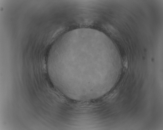 X0000067391252200604281833