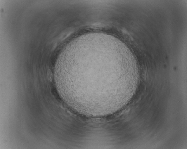 X0000067391253200604281833