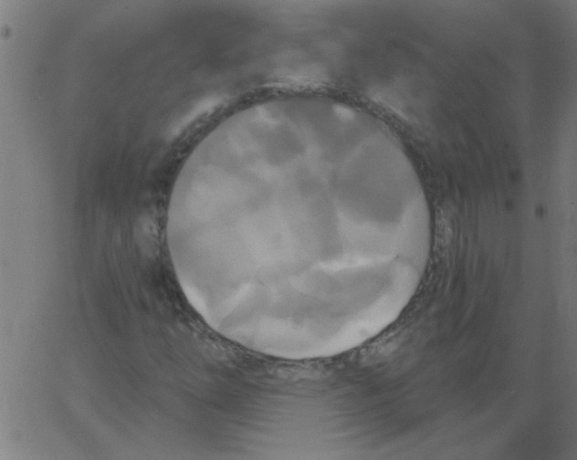 X0000067391254200604281833