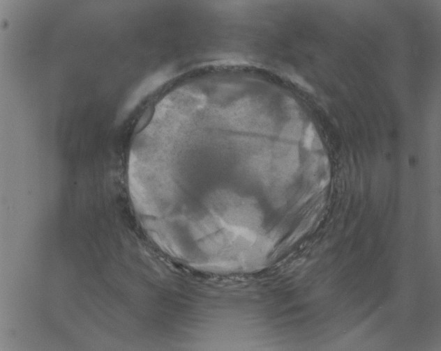 X0000067391255200604281833