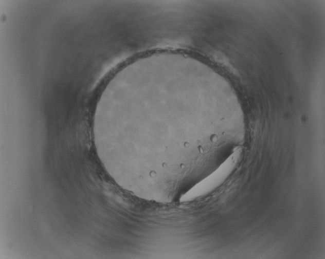 X0000067391256200604281833