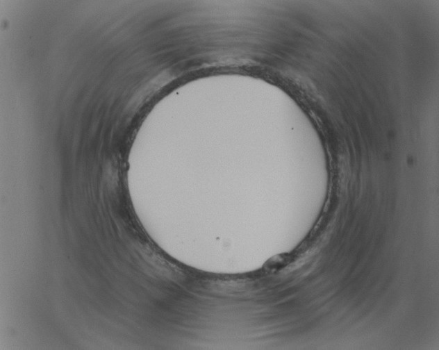 X0000067391257200604281833