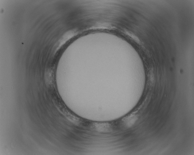 X0000067391258200604281833