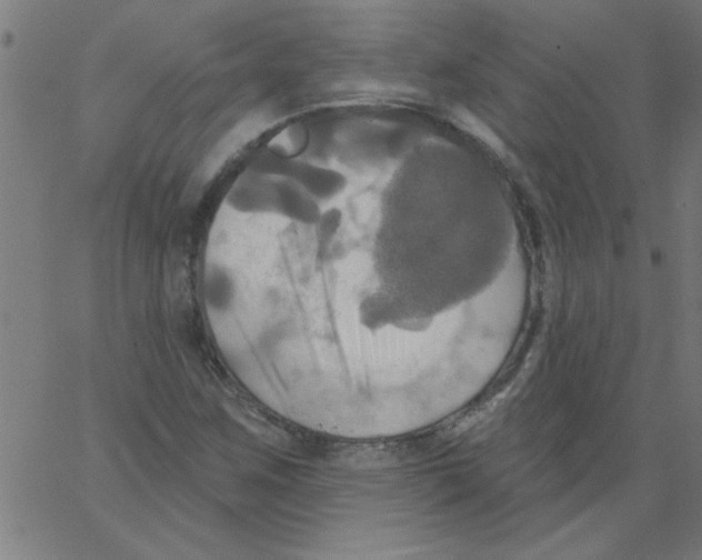 X0000067391259200604281833